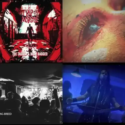 Thrash Metal v39