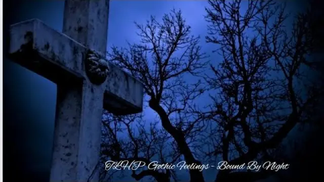 Bound by Night