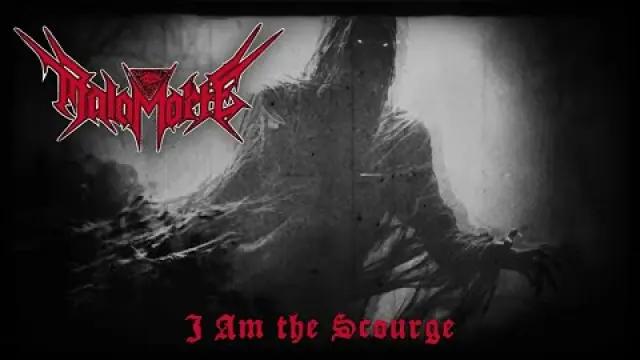 I Am the Scourge