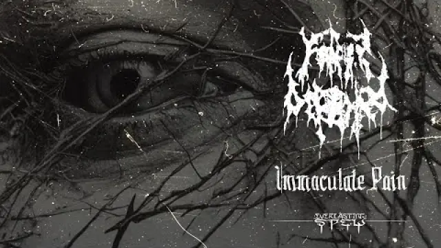 Immaculate Pain