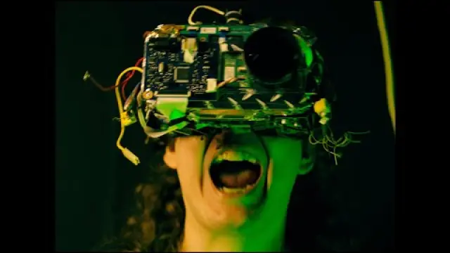 The Cyberneticist