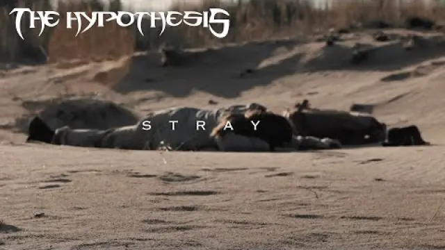 Stray