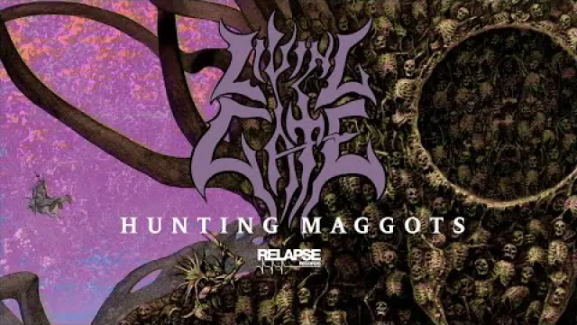 Hunting Maggots
