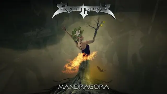 Mandragora