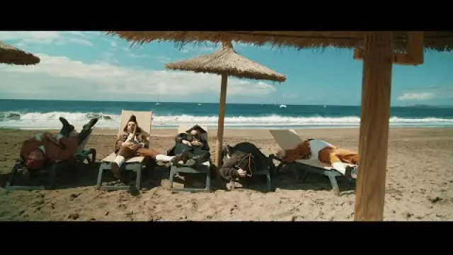 Party Like A Pirate