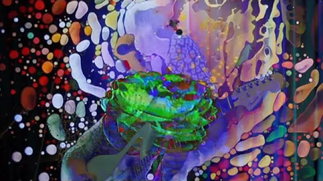 Compound Vision