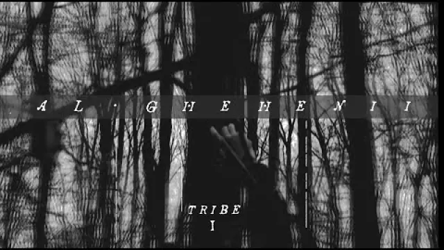 Tribe I