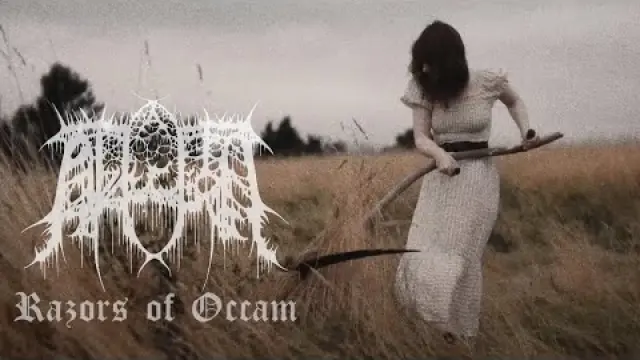 Razors of Occam