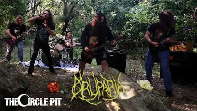 Sever The Roots