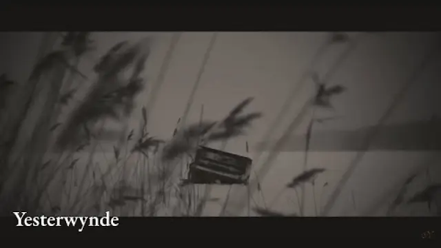 Yesterwynde