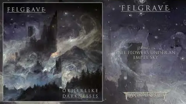 Pale Flowers Under an Empty Sky