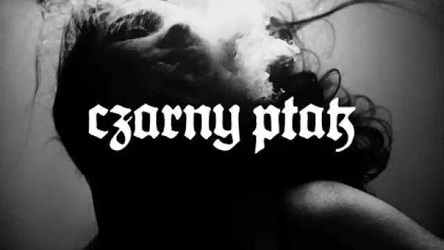 Czarny Ptak