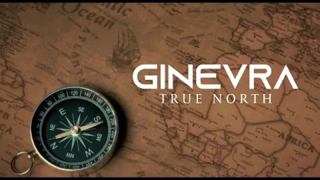 True North
