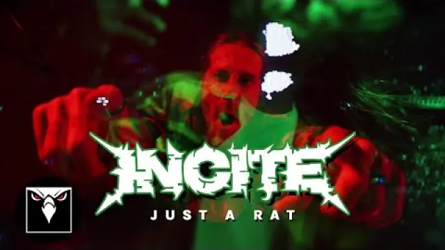 Just A Rat