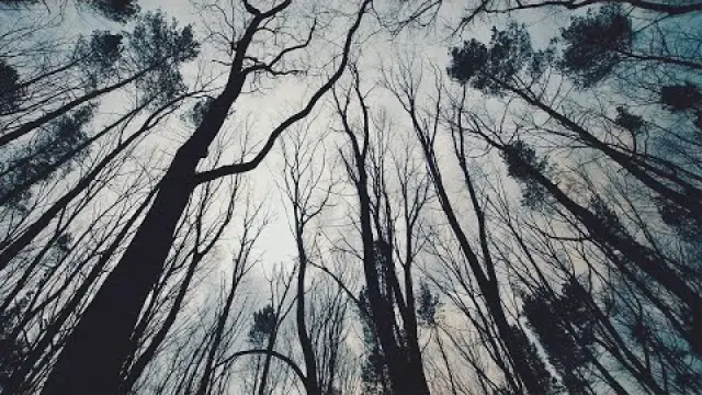 Trenches