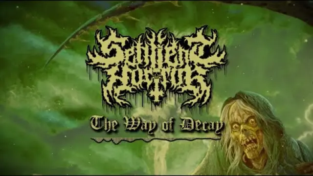 The Way of Decay