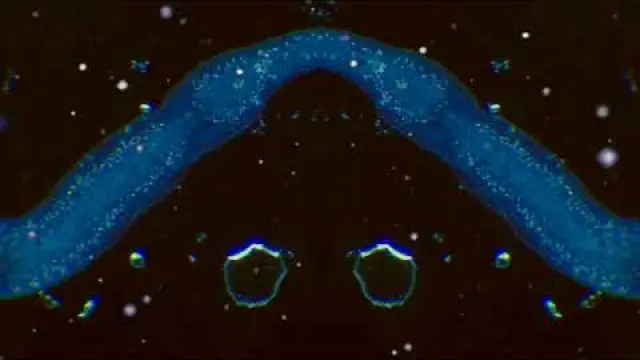 Voyager to Voyager