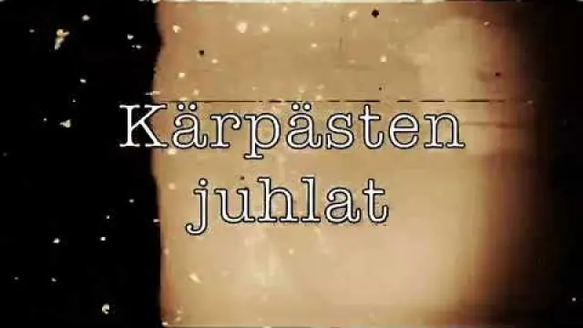 Kärpästen Juhlat (Mikko Saarela / Organ Cover)