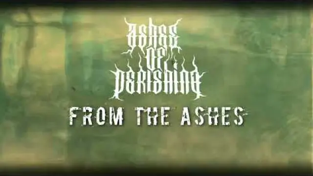 From The Ashes