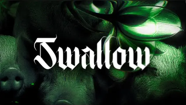 Swallow