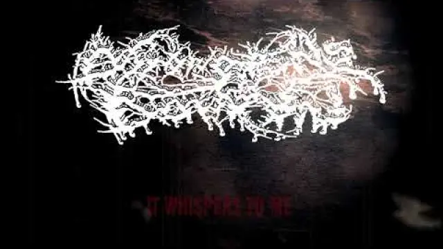 Madness Eternal
