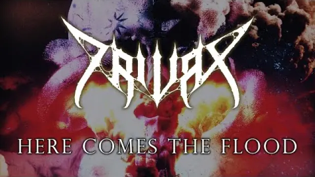 Here Comes the Flood