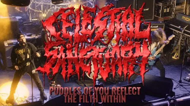Puddles of You Reflect the Filth Within