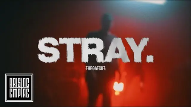 Stray.