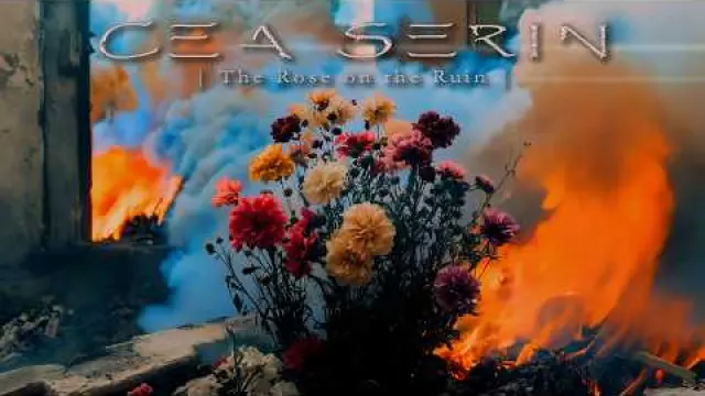 The Rose on the Ruin