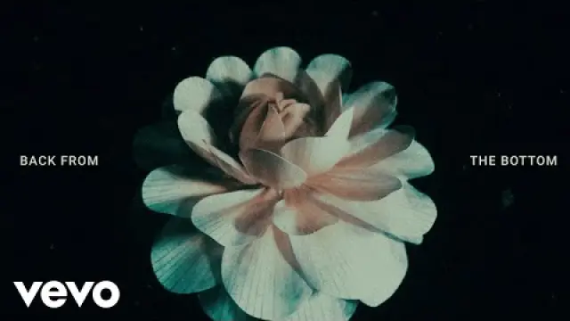 THE BOTTOM
